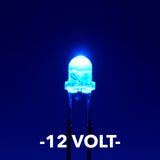 12 Volt 3mm LEDs (5)