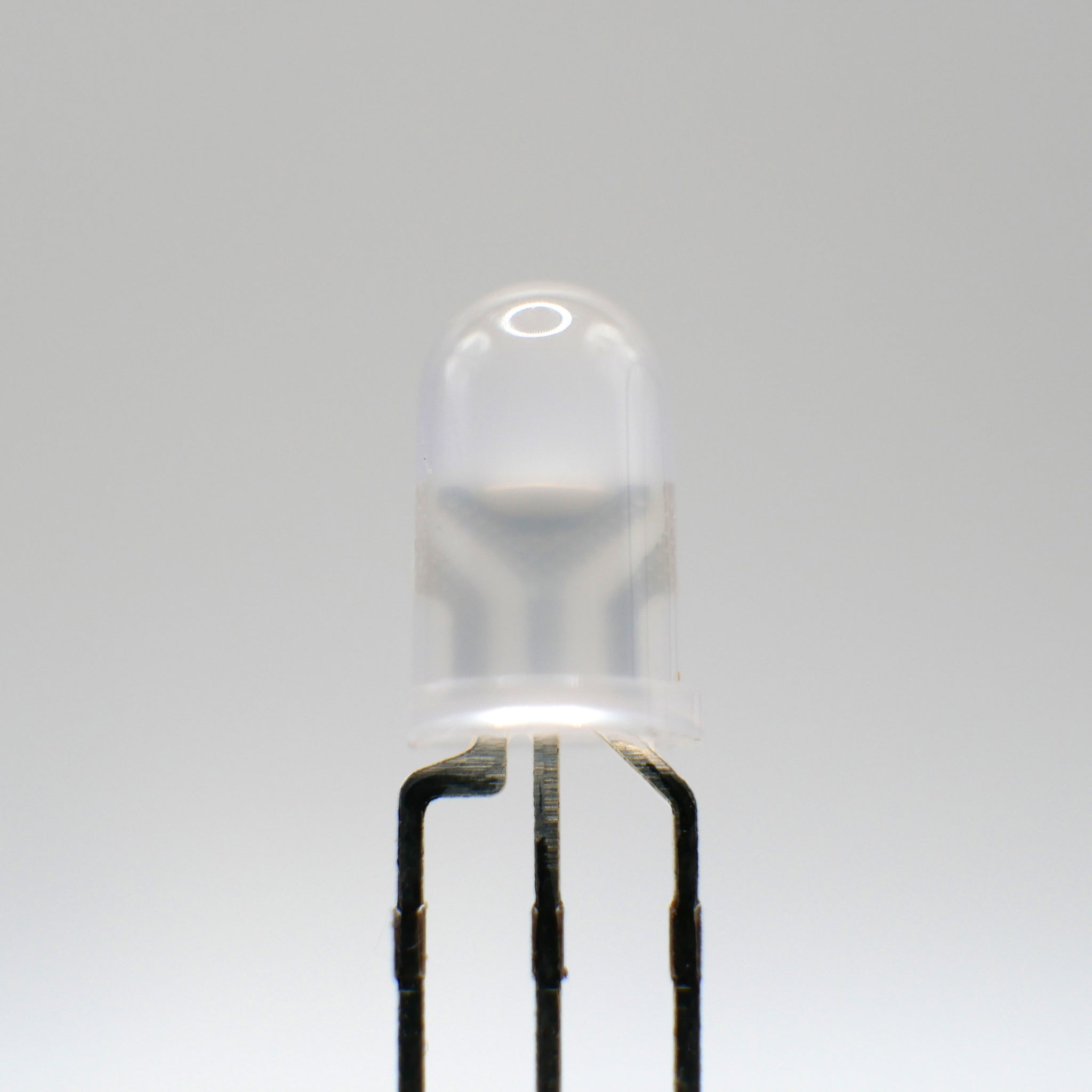 5mm Red And Blue Bi-Color LED Common Cathode - Diffused   Sharvielectronics: Best Online Electronic Products Bangalore